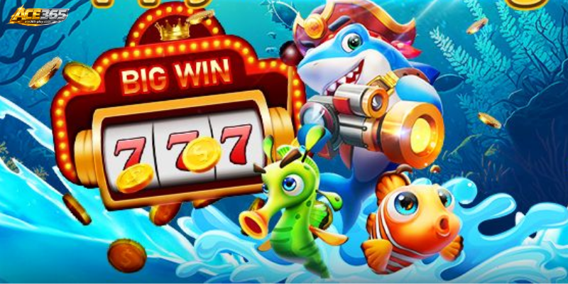 Choosing the Right Platform for Fishing ALL STAR